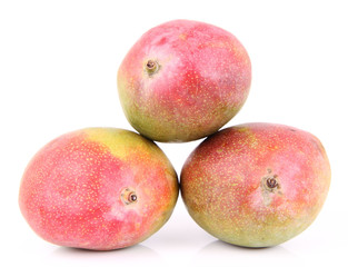 Mango fruits on a white background
