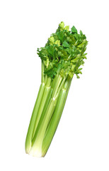 fresh green celery isolated on white
