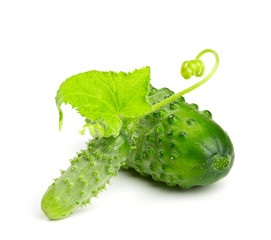 fresh cucumbers