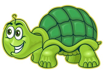 cartoon turtle