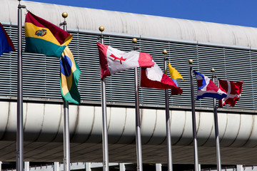 international flags in Miami Airport