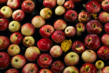 Apples in water