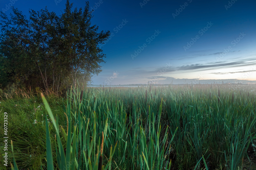 Wall mural nightly landscape