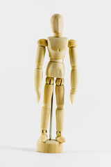 Wood Model