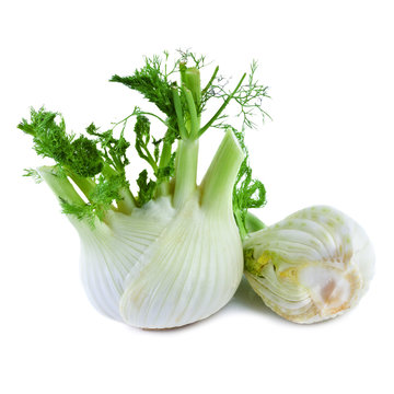 Fennel  isolated on white