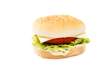 burger on the white