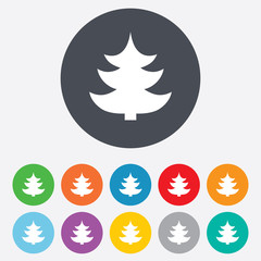 Christmas tree sign icon. Holidays button.