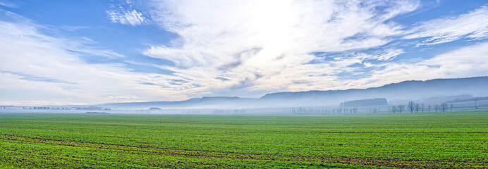 Rural panorama with green field © CCat82