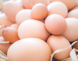 Eggs