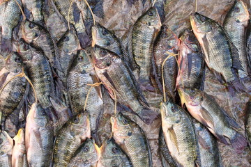 Fish market