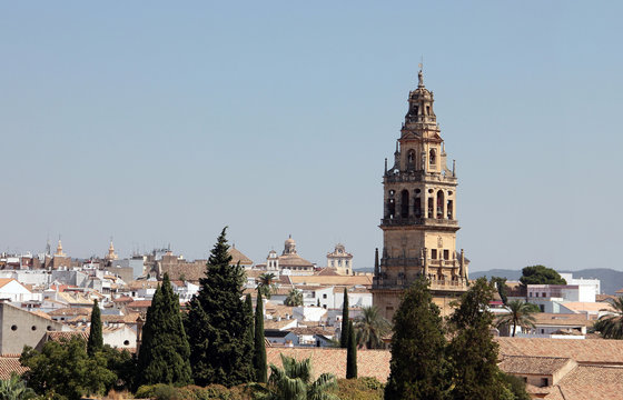 Córdoba desde el Alcazar