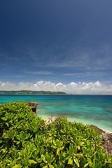 南国の美しいビーチと紺碧の空