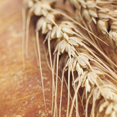 background of bread and spikes