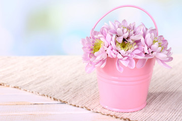 Beautiful chrysanthemum flowers in bucket