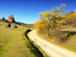 view of a macadam road