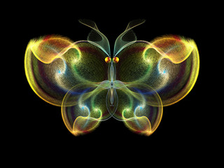 Elegance of Butterfly