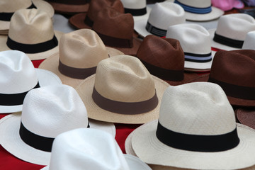 Panama hats