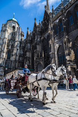 Fototapeta na wymiar Bryczką w Wiedniu w słynnej Stephansdom Cathedr