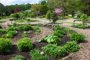 Botanical garden in Muenster, Germany