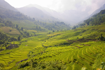 Paddy fields in mountains of northern Vietnam