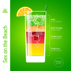 Sex on the Beach. Cocktails infographics.