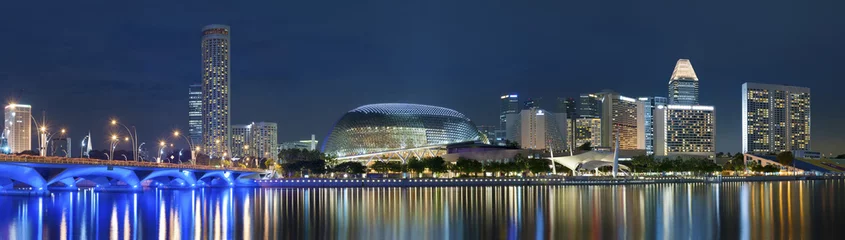 Foto op Plexiglas Panorama van de stad Singapore bij nacht © leeyiutung