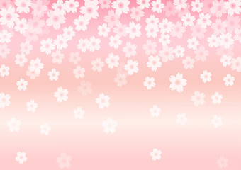 桜　背景