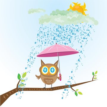 vector cartoon cute little owl bird on tree branch