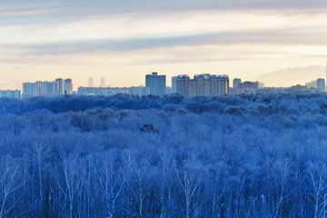 cold dawn over blue frozen city park in winter