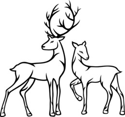 Deer couple