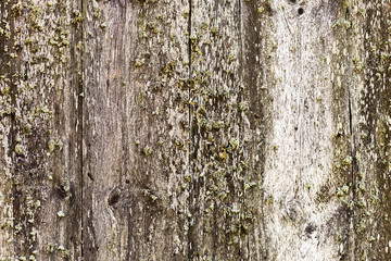 old wooden wall