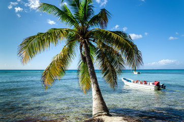 Caribbean beach with boat - obrazy, fototapety, plakaty