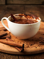 Hot chocolate with cinnamon