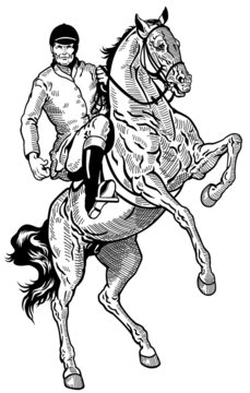 horse rider black white