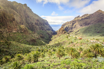 Naklejka premium Masca Village and valley in Tenerife, Canary Islands, Spain