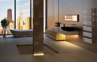 3D bathroom interior