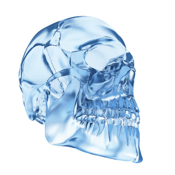 3d rendered illustration of a skull made of glass