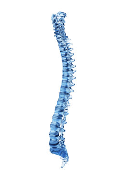 3d rendered illustration of a spine made of glass