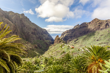 Fototapeta na wymiar Masca Village and valley in Tenerife, Canary Islands, Spain
