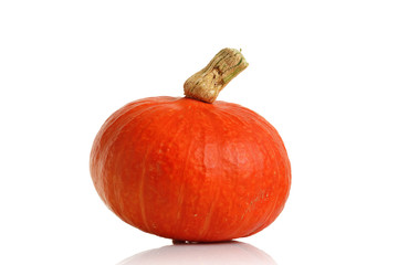 Red kuri squash on white background