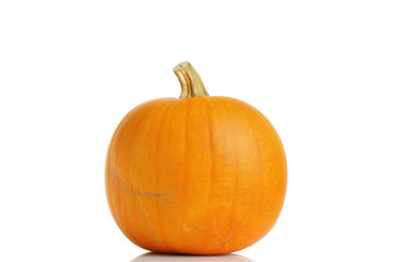 Big yellow pumpkin on white background