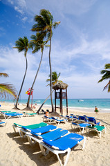 Beach at Saona Island, Dominican Republic