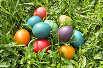 Colorful easter eggs in green grass.