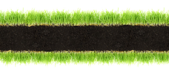 Cross-section frame of soil and grass isolated on white
