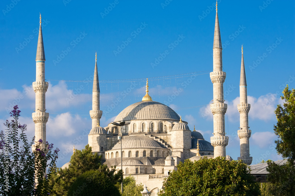 Wall mural blue mosque