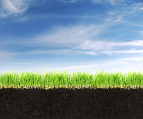 Cross-section of land with soil,grass and blue sky.
