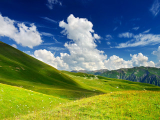 Obraz premium Field and cloudy sky. Natural summer landscape
