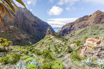 Fototapeta na wymiar Masca Village and valley in Tenerife, Canary Islands, Spain