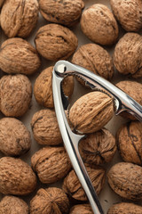 Walnut in nut cracker