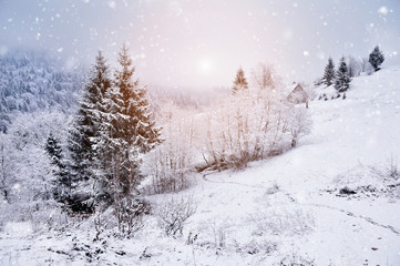 Beautiful winter landscape with snow covered trees